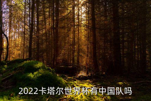 2022卡塔爾世界杯有中國隊(duì)嗎