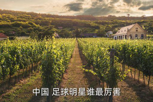 中國(guó)足球中后衛(wèi)排名,fifa23中后衛(wèi)排名