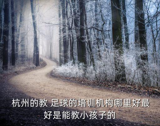 杭州約足球,杭州成人足球培訓