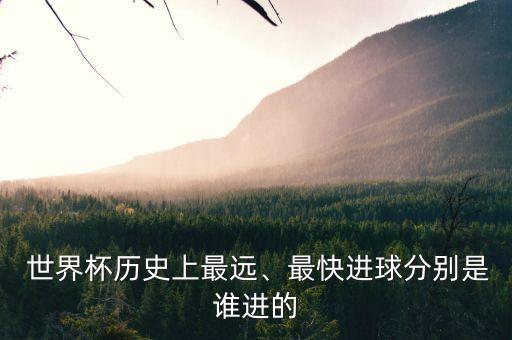  世界杯歷史上最遠(yuǎn)、最快進(jìn)球分別是誰(shuí)進(jìn)的