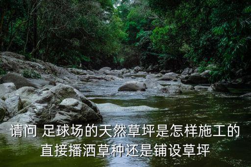 請問 足球場的天然草坪是怎樣施工的直接播灑草種還是鋪設(shè)草坪