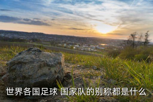 足球隊(duì)SPO是哪個(gè)國(guó)家,spo是哪個(gè)國(guó)家的縮寫