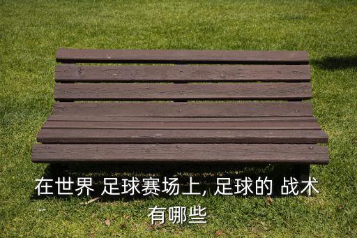 在世界 足球賽場上, 足球的 戰(zhàn)術(shù)有哪些