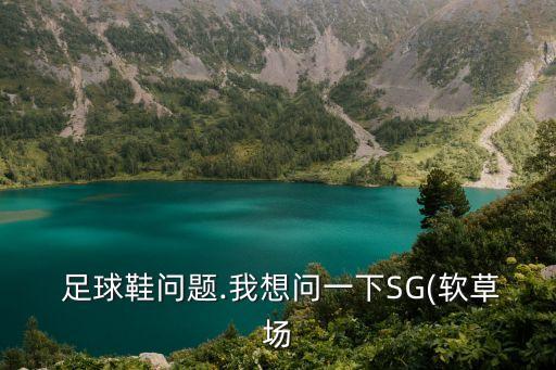  足球鞋問(wèn)題.我想問(wèn)一下SG(軟草場(chǎng)