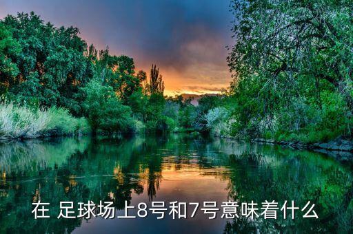 足球位置號碼,足球各個位置號碼的意思