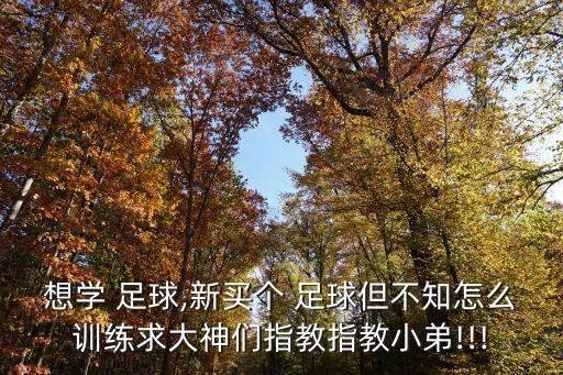 想學(xué) 足球,新買個 足球但不知怎么訓(xùn)練求大神們指教指教小弟!!!