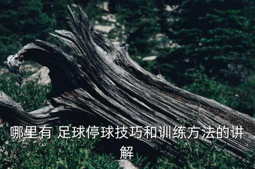 哪里有 足球停球技巧和訓練方法的講解