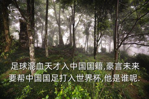 足球運(yùn)動(dòng)員高潮,有關(guān)足球的音樂(lè),開(kāi)頭就是高潮