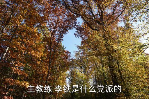 國(guó)家足球隊(duì)李鐵主任,武漢長(zhǎng)江足球隊(duì)李鐵