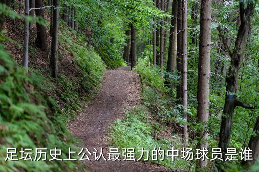 足壇歷史上公認(rèn)最強(qiáng)力的中場(chǎng)球員是誰