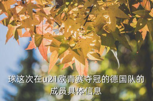 球這次在u21歐青賽奪冠的德國(guó)隊(duì)的成員具體信息
