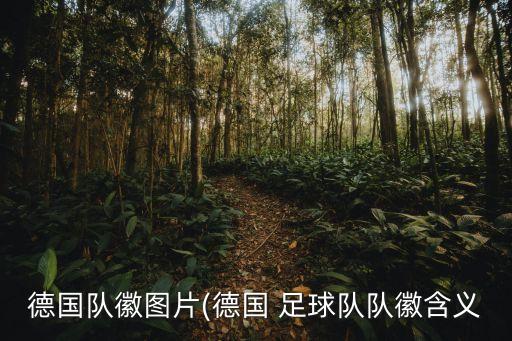 德國隊徽圖片(德國 足球隊隊徽含義