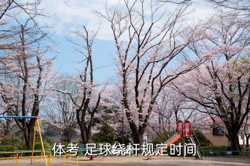 體考 足球繞桿規(guī)定時間