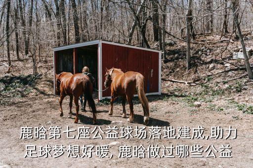  鹿晗第七座公益球場(chǎng)落地建成,助力 足球夢(mèng)想好暖, 鹿晗做過哪些公益
