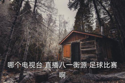 哪個(gè)電視臺(tái) 直播八一衡源 足球比賽啊