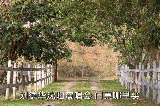 力帆足球門(mén)票