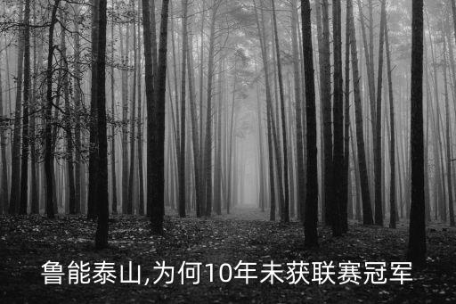 濰坊杯國際青年足球賽票務(wù)