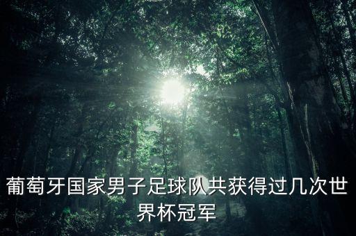 葡萄牙國(guó)家男子足球隊(duì)共獲得過幾次世界杯冠軍