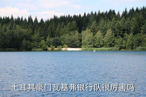 土耳其豪門瓦基弗銀行隊很厲害嗎