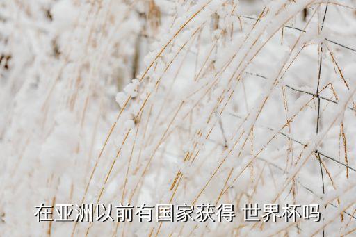 2014足球世界瑞典進了沒有