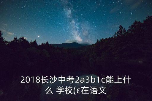 湖南足球?qū)W校,山東魯能泰山足球?qū)W校