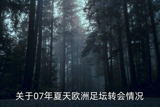 關(guān)于07年夏天歐洲足壇轉(zhuǎn)會情況