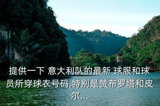 意大利足球球服,足球球服簡筆畫