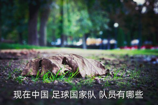 足球廣州恒大今晚隊員,廣州恒大足球?qū)W校2022招生