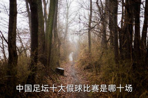一月29日足球新聞