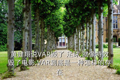黃健翔說(shuō)VAR毀了 足球,就像特效毀了電影,VAR到底是一種怎樣的存在