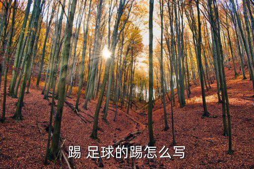 踢 足球的踢怎么寫(xiě)