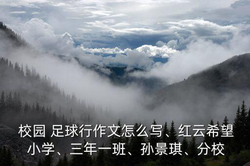 小學校園足球,靖外明德小學校園足球