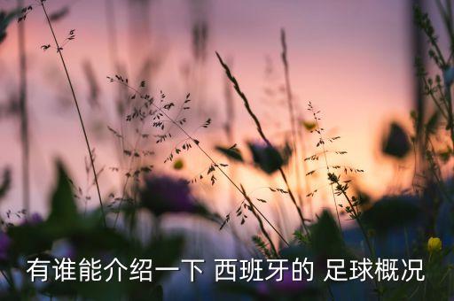 有誰(shuí)能介紹一下 西班牙的 足球概況