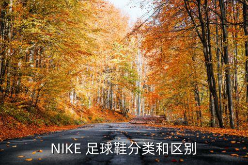 NIKE 足球鞋分類(lèi)和區(qū)別