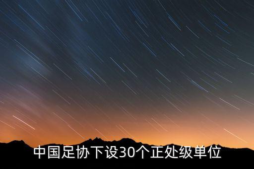 中國足協(xié)下設(shè)30個(gè)正處級(jí)單位
