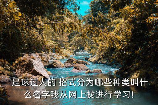  足球過人的 招式分為哪些種類叫什么名字我從網(wǎng)上找進行學習!