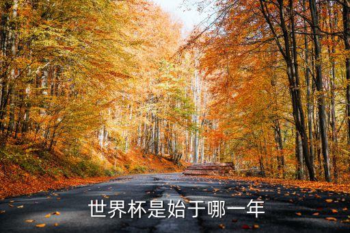 烏拉圭世界杯足球隊