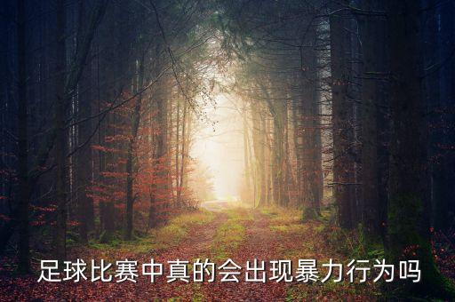  足球比賽中真的會(huì)出現(xiàn)暴力行為嗎