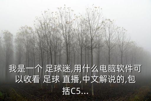 我是一個(gè) 足球迷,用什么電腦軟件可以收看 足球 直播,中文解說(shuō)的,包括C5...