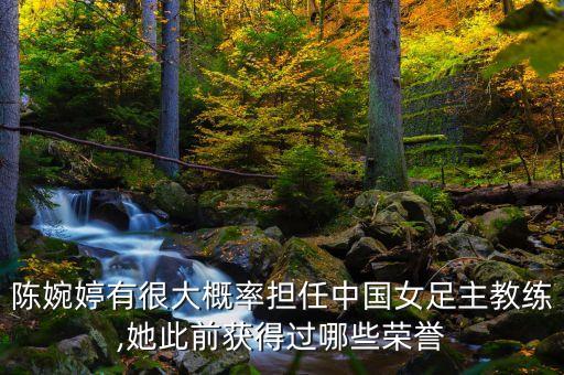 陳婉婷有很大概率擔(dān)任中國(guó)女足主教練,她此前獲得過哪些榮譽(yù)