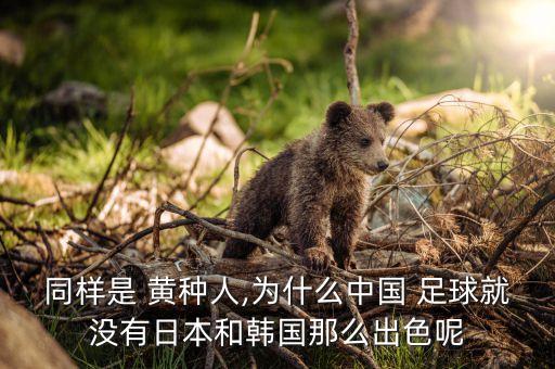 同樣是 黃種人,為什么中國(guó) 足球就沒有日本和韓國(guó)那么出色呢
