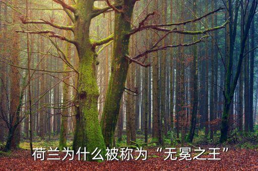 荷蘭足球隊(duì)的輝煌,荷蘭國(guó)家足球隊(duì)