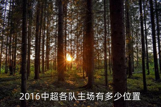 2016中超各隊主場有多少位置