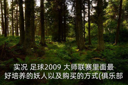 實(shí)況 足球2009 大師聯(lián)賽里面最好培養(yǎng)的妖人以及購(gòu)買(mǎi)的方式(俱樂(lè)部