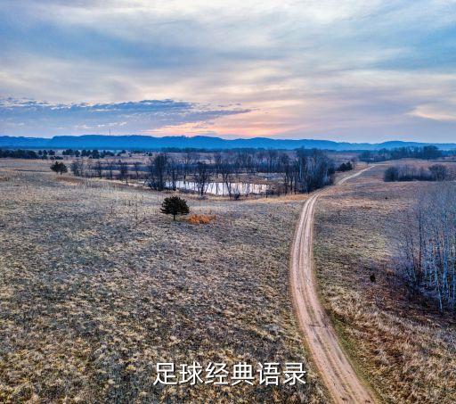  足球經(jīng)典語(yǔ)錄