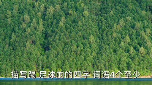 描寫(xiě)踢 足球的的四字 詞語(yǔ)4個(gè)至少