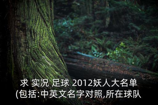 實(shí)況足球2012最強(qiáng)陣容全名字,網(wǎng)易實(shí)況足球最強(qiáng)陣容