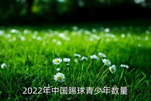 2022年中國踢球青少年數(shù)量
