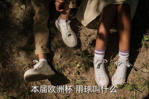 盤(pán)點(diǎn)歷代足球比賽用球