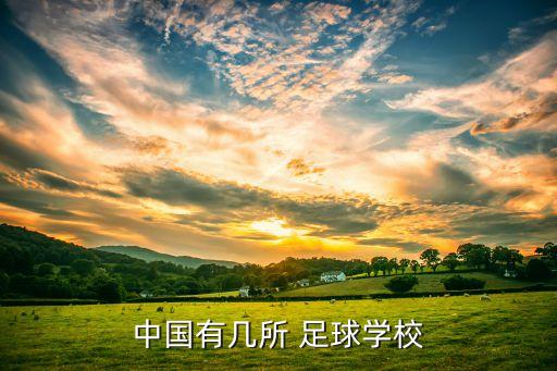 中國有幾所 足球?qū)W校